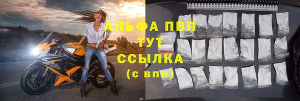 мяу мяу мука Магадан