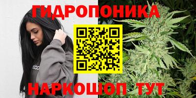 СК Изобильный