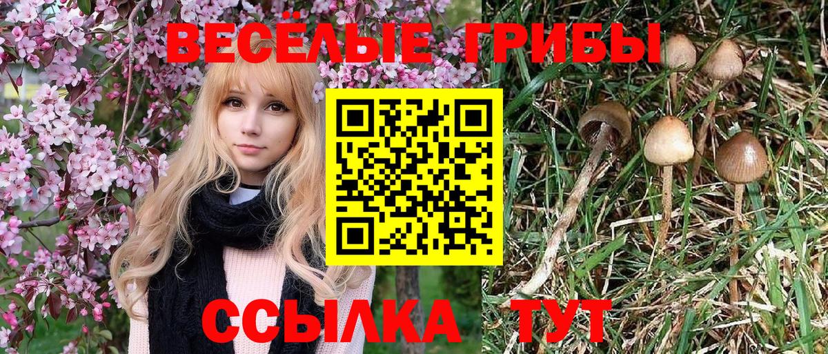 Галлюциногенные грибы ЛСД Новоуральск